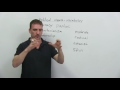 Politics 16 Vocabulary: Talking about POLITICS in English