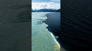 🌊 Two Seas, One Boundary | Quran Miracle ✨ #quran #shorts
