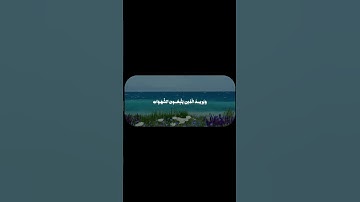 الشيخ محمود خليل الحصري سورة النساء