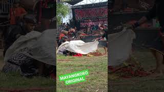 PROSES MEDIASI ANAK WAYANG MAYANGKORO ORIGINAL.