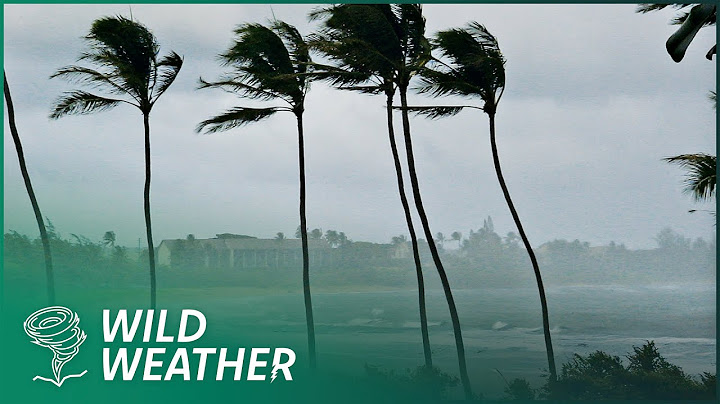 Der stärkste Sturm der Welt? | Supertaifun Mangkhut