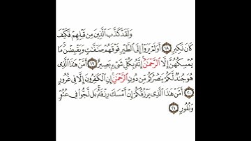 سورة الملك 5 القسم الخامس تكرار كيفي من .. ولقد كذب الذين من قبلهم .. إلى .. بل لجوا في عتو ونفور