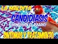 LA MALDITA CANDIDIASIS SINTOMAS Y TRATAMIENTO