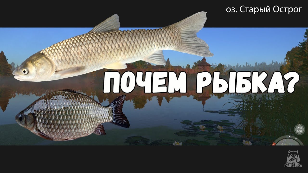 якутская рыбная компания. рыба якутии рязань ассортимент. рыба якутии. продается свежая рыба. почем рыбка.