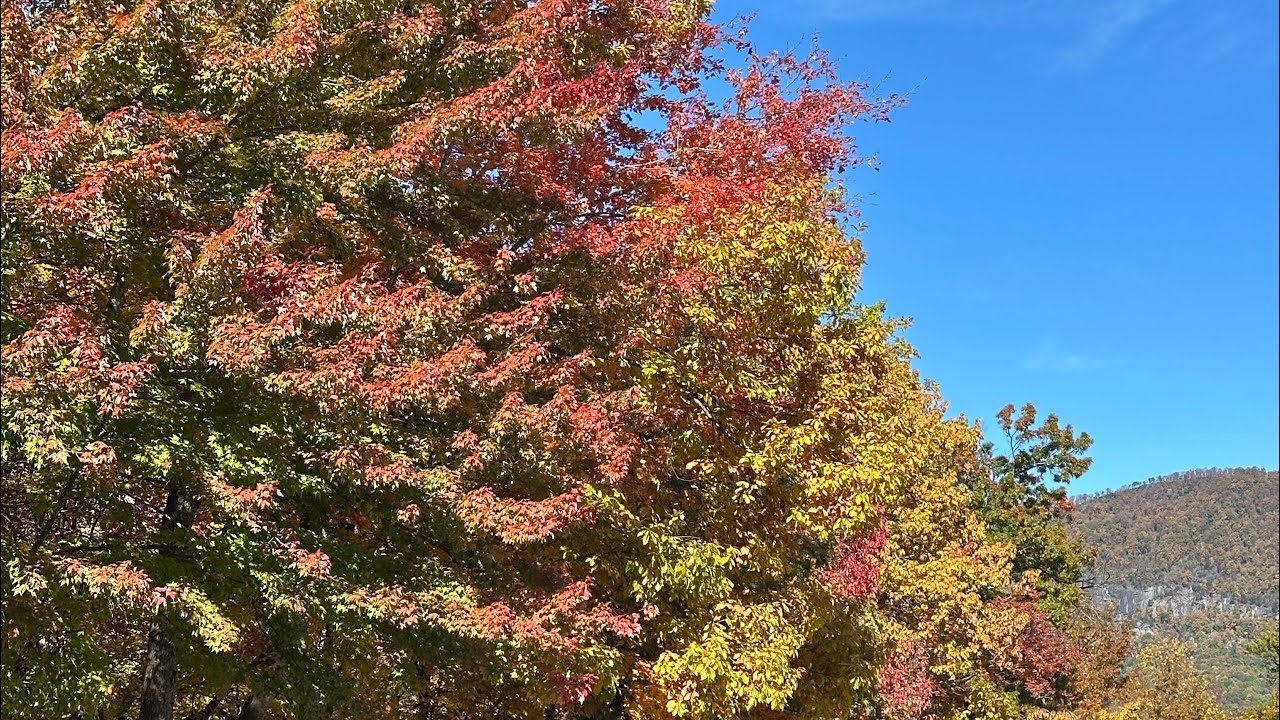 Keyea Driving to see fall colors! NC! - YouTube
