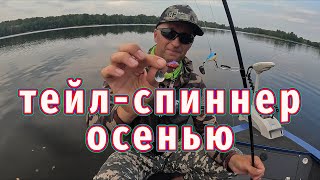 Как ПОЙМАТЬ на Тейл-спиннер Осенью! Лучшие 2 проводки!
