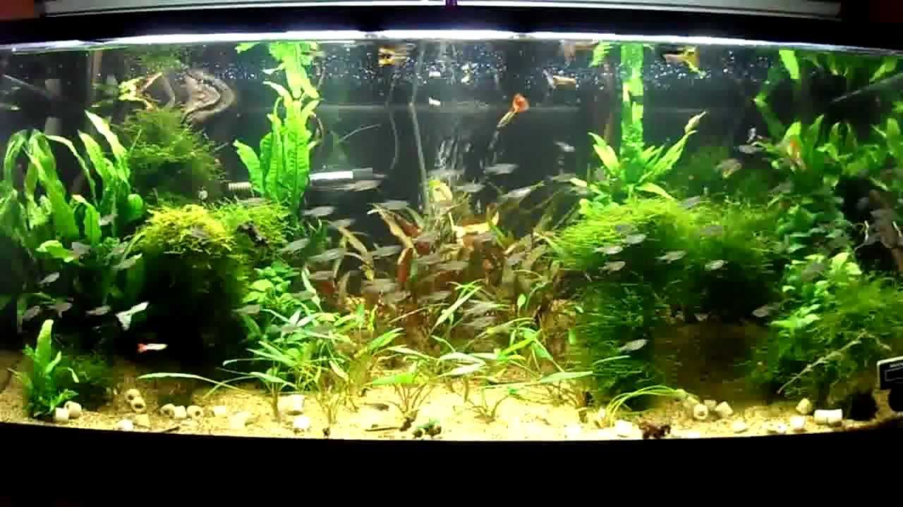 Aquarium 200 litres Aquarium 200 litres
