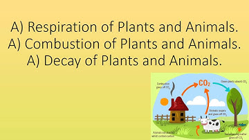 Carbon Cycle (GCSE Science OCR Gateway)