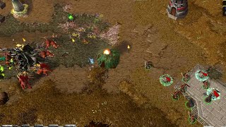 Warcraft 3 - Plague 1:The East #001(Hard) || Western - Berdrix - Border Guards