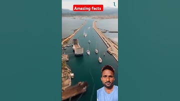 Engineering Marvel 🤔floating #bridges #brousefeatures #short