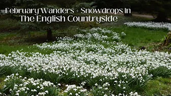 FEBRUARY IN THE ENGLISH COUNTRYSIDE - Plus A Trip To London