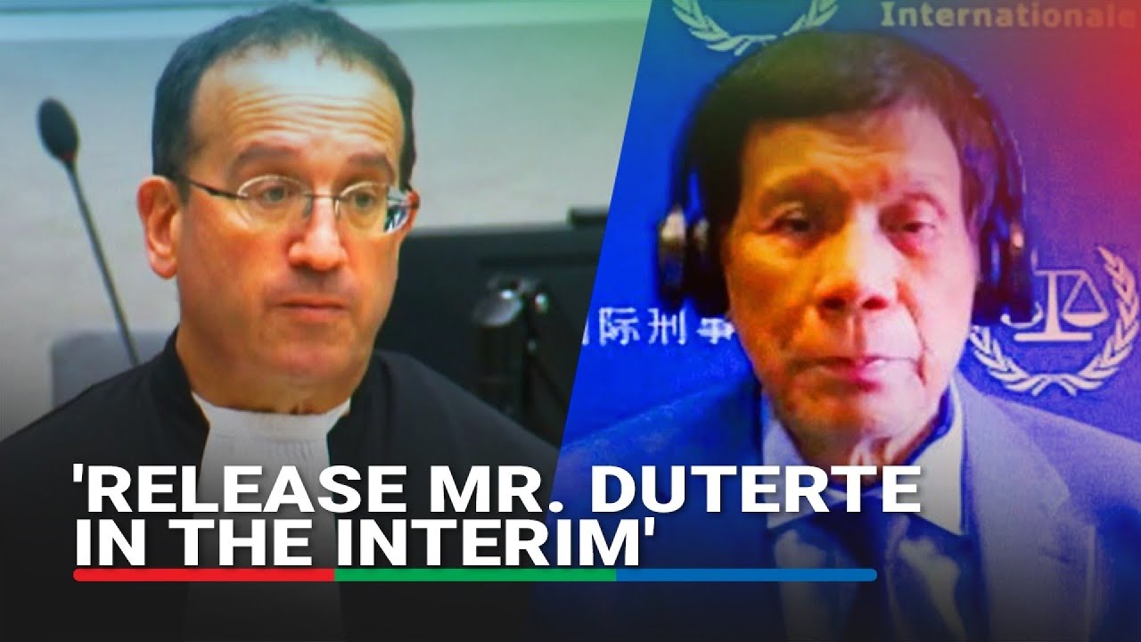Kaufman iginiit na dapat pansamantalang palayain si Duterte