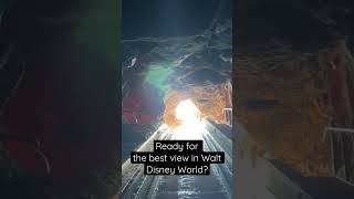 The best view in Walt Disney World! That is, right before the drop! 💦