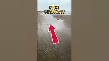 Thumbnail of This Beach Trick Helps You Catch More Fish!