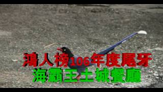 20180106鴻人榜106年度尾牙   海霸王土城餐廳 呂董＆小芊芊敬茶  華清火拍攝錄影https://youtu.be/h2mAJBiRZJQ