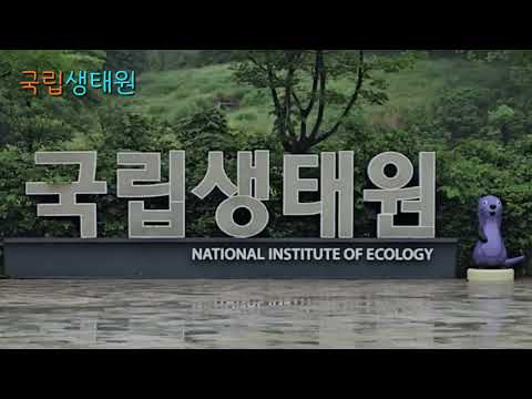 국립생태원 탐방기 #김다현노래들으며 #2026단양소백산철쭉제