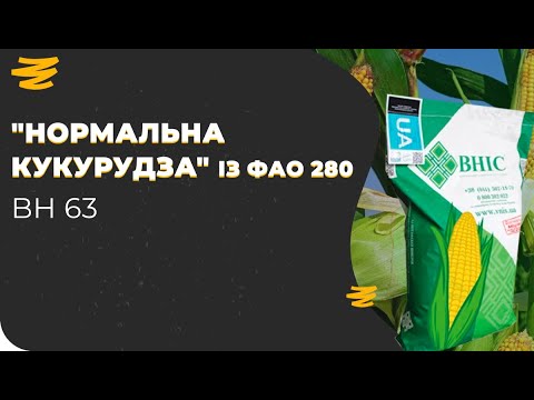 ВН 63🌽 ФАО