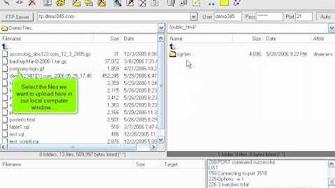 Uploading files using LeapFTP | FastDot Cloud Hosting