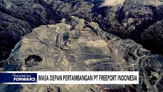 Masa Depan Pertambangan PT Freeport Indonesia