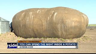 Potato hotel