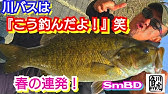 多摩川 スモールマウスバス Drop Fishing Bass Fishing 22 3月 Youtube 多摩川 スモールマウスバス Drop Fishing Bass Fishing 22 3月 Youtube