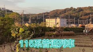 『電車』115系普通列車 色違いでの連結‼️