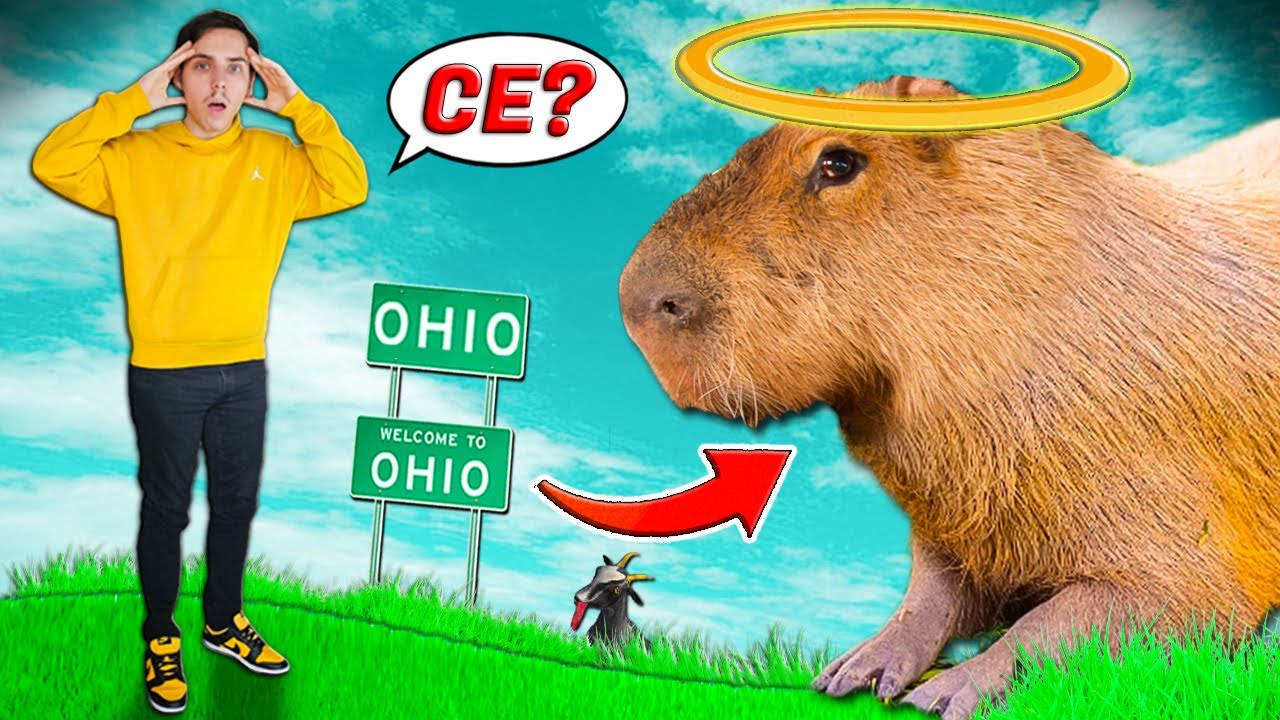 NU te juca cu CAPYBARA din OHIO ! *sau MORI*