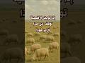 من أراد أن يضحي فلا يحلق شعره ولا يقص أظفاره
