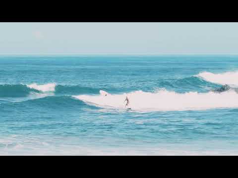 Video: Surfing På Nicoya-halvøya, Costa Rica [bilder] - Matador Network