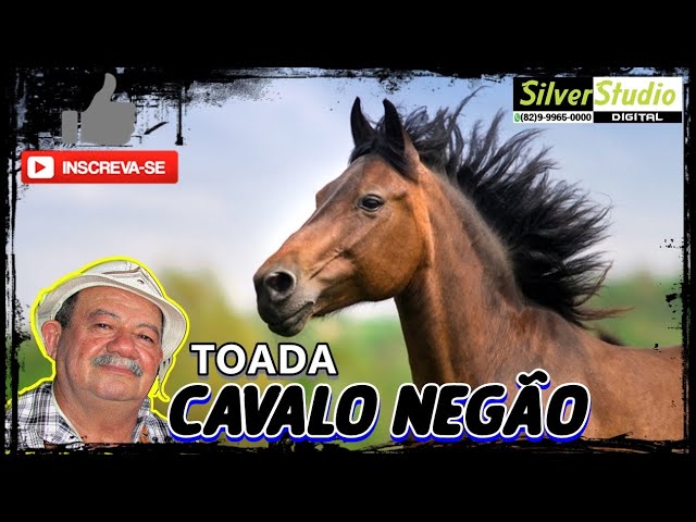 Cavalo do Mato 02 por Zé Bezerra - Loja Oca