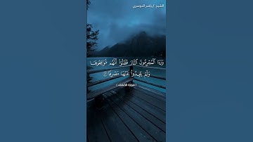 سورة الكهف من آية 53 إلى آية 55 بصوت الشيخ ياسر الدوسري❤❤