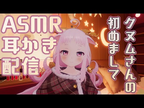 【耳かき配信】クヌムさんの初めまして耳かきリベンジ【ASMR】