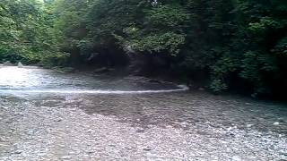 Внезапный подъем воды в реке Западный Дагомыс