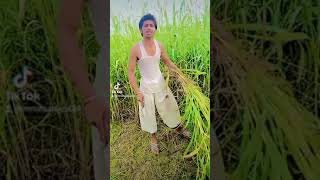 Just funny video New funny video 2023