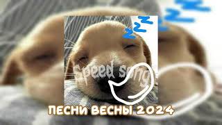 🎧||песни весны 2024||speed song||черничка||🫐