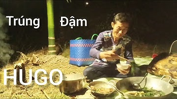 CẮM CÂU , mương vườn  trúng đậm cá lóc HUGO
