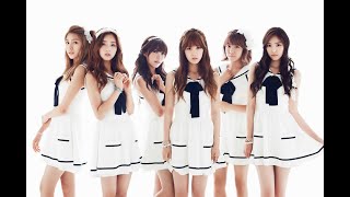 Apink 에이핑크 - No No No [Engsub/Lyrics/Hangul]