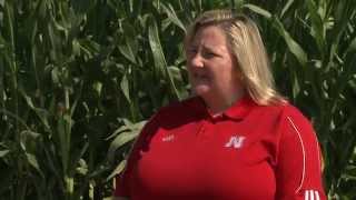 Southern Rust Confirmed - Tamra Jackson-Ziems - August 1, 2014