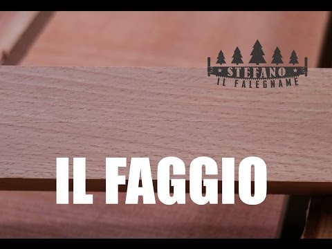 Video: Cosa significa faggio?