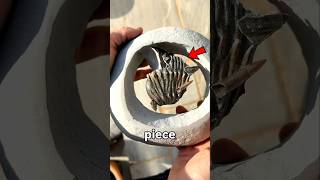 He Cracked Open a Rock… And Found Prehistoric Life 😳