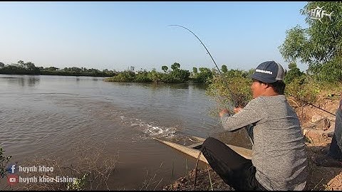 CÂU TRÚNG Ổ CÁ TRÁP ( CÁ HANH ) GIỰT ĐÃ TAY LUÔN