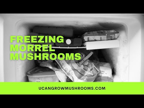 Freezing Morrel Mushrooms