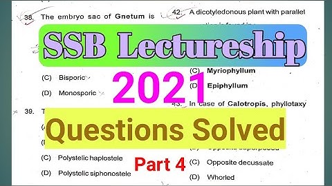 SSB Lect. Odisha 2021 Question Paper Solved-Part 4