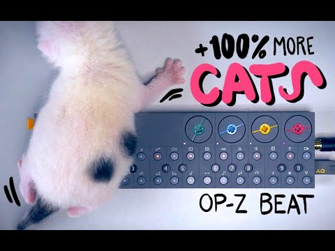 Hip Hop Beat