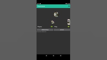 PhysicsLayout Funny Bug