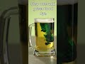 St. Patrick’s Day vs. Tea for two day - Fun Holiday Every Day