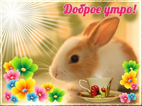 Доброе утро. С добрым утром. Красивая песня