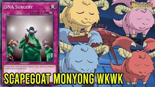 5 Unique Yu-Gi-Oh! Card Moments When Animated in the Anime!
