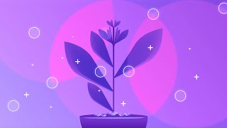Beautiful flower - Leaves plant abstract design using Affinity Designer. screenshot 1