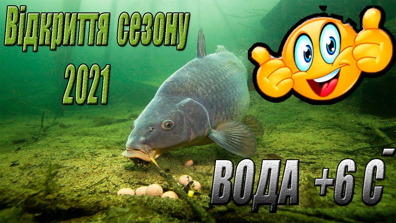 Ловля коропа по холодні воді на озері Пристань